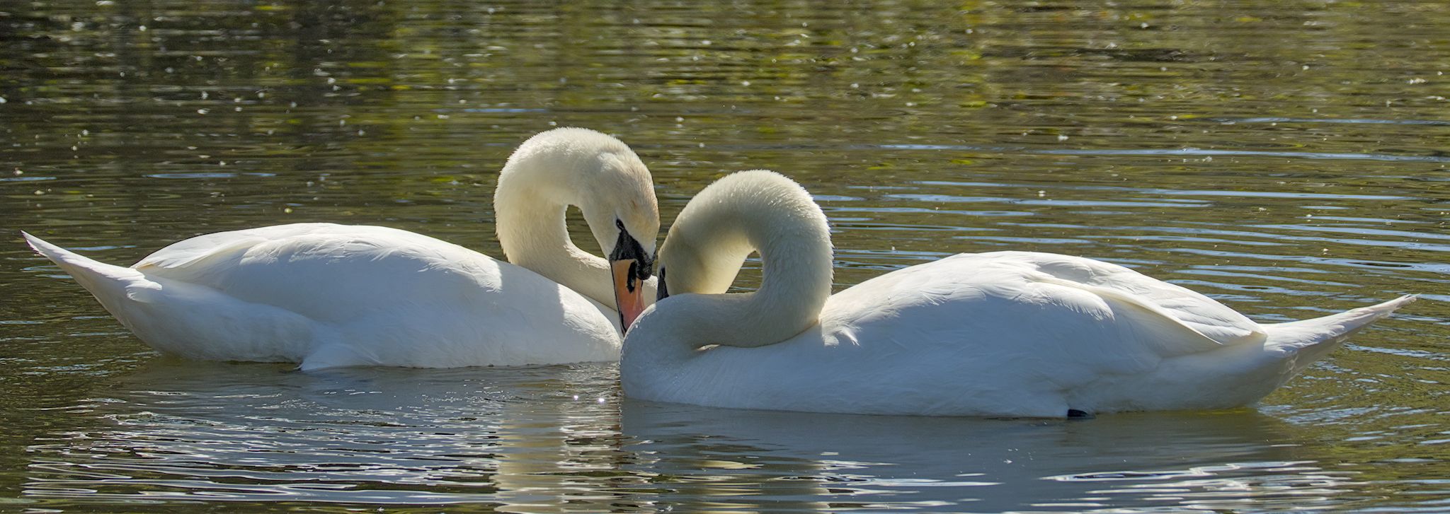 20, 22 & 23 April along River Aire & Leeds Liverpool Canal, 2026