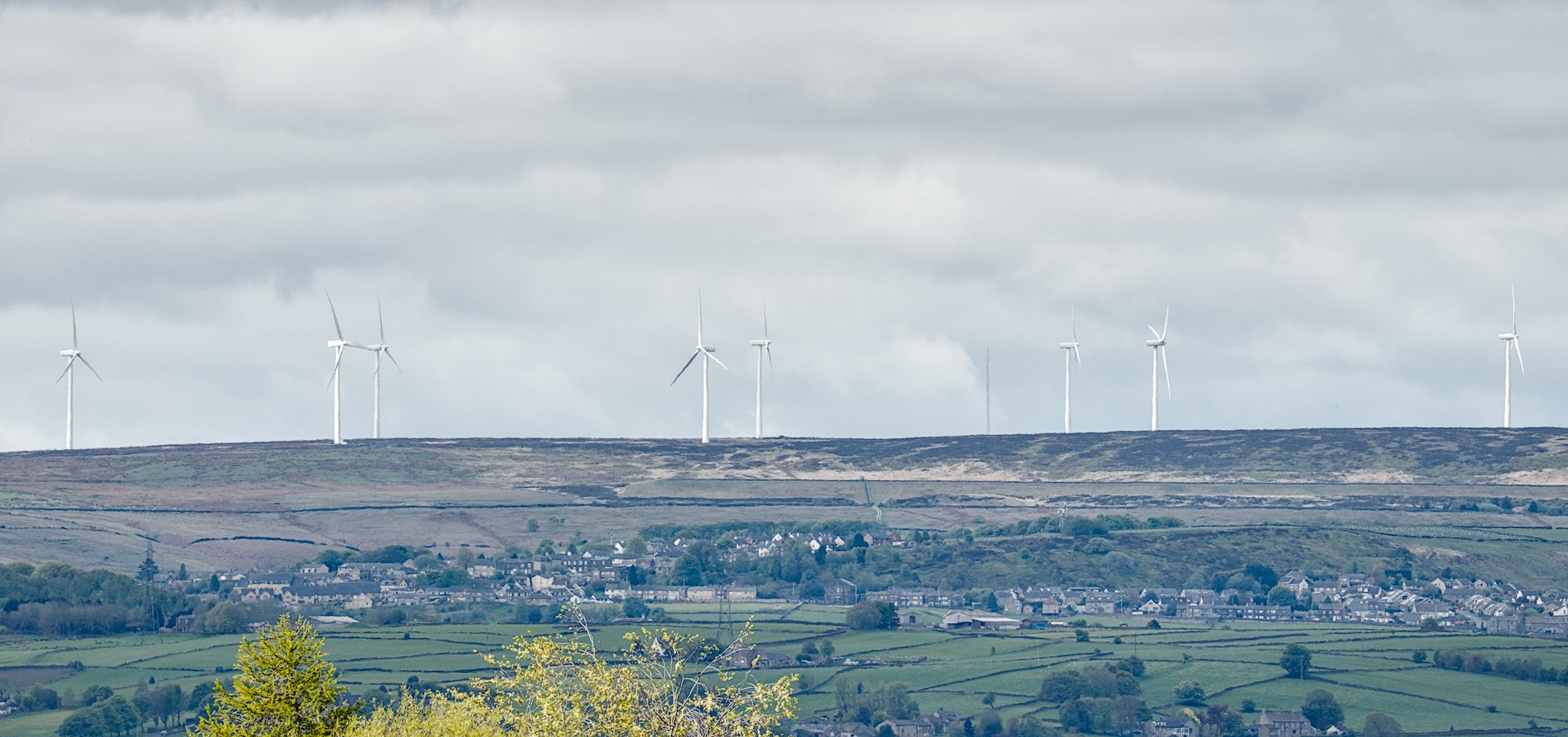 5 May 2026 on Baildon Moor